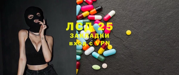 дживик Новозыбков