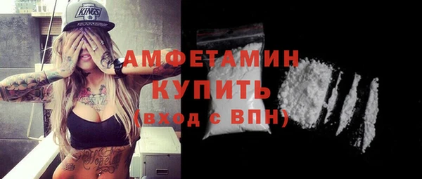 индика Апатиты