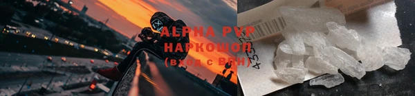 дживик Новозыбков