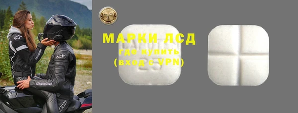 индика Апатиты