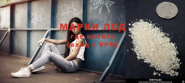 дживик Новозыбков
