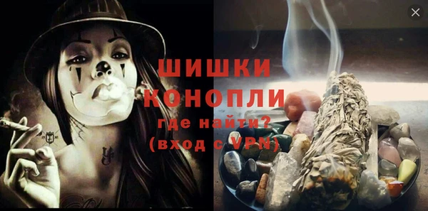 дживик Новозыбков