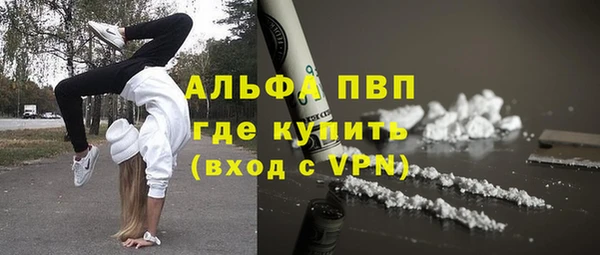 дживик Новозыбков