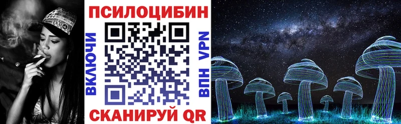 Галлюциногенные грибы Psilocybine cubensis  Ступино 