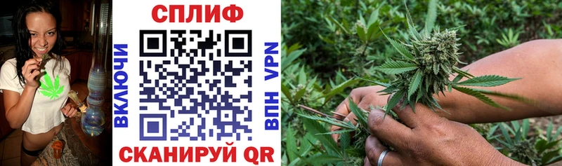 Каннабис конопля  Ступино 